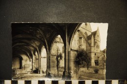 CP, 03, SOUVIGNY Le Cloître Et La Basilique N° 5 Vierge Ed Du Lys - Sonstige & Ohne Zuordnung