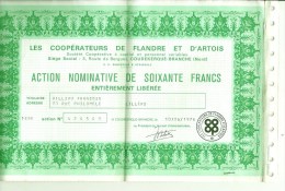 NORD PAS DE CALAIS - 62 - PAS DE CALAIS - LILLERS - Action Coopérative De Flandre Et D'Artois - 1976 - Lillers