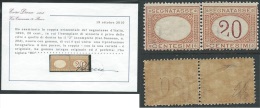 1890-94 REGNO SEGNATASSE 20 CENT VARIETà MNH ** - CERTIFICATO DIENA - Strafport