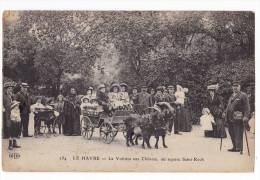 LE HAVRE - La Voiture Aux Chèvres , Au Square Saint-Roch. Carte RARE - Saint-Roch (Plein)