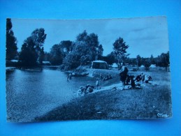 Réf: 62-1-46.    DORDIVES    Camping Et Bords Du Loing  ( Cette Carte N'est Pas Bleue, Ton Blanc Et Noir, Glacée) - Dordives