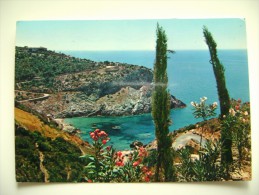 Delcampe - MONTE ARGENTARIO   TOSCANA GROSSETO    VIAGGIATA   COME DA FOTO * - Grosseto