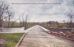 New Bridge Over Minnehaha Creek At Minnesota State Solders Home Minneapolis Minnesota 1910 - Minneapolis