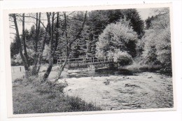 30762  -    Lesse  Maissin  Petit  Pont  Sur La Lesse - Libin