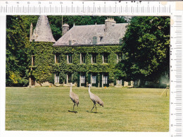 MUZILLAC   -   Parc  Zoologique Du Château  De  BRANFERE - Muzillac