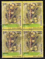 India 2003 Used Block, Amla Plant, 'Emblica Officinalis', Fruit,  Medicinal Plants, Ascorbic Acid (vitamin C), Medicine - Plantes Médicinales