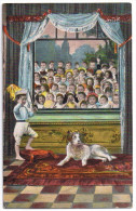 K V I B 12 Serie 1735 Saint Sint Josse Ten Noode Nodde 1913 Enfant Chien Spectacle Bébés - Non Classificati