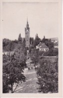 AK Coswig - Peter Pauls Kirche (14864) - Coswig