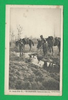 GUERRE 1914 - 1918 CARTE 347 En Champagne Chevaux à L'abreuvoir - War 1914-18