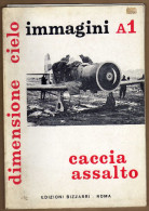 Plane Aircraft Aviation Caccia Assalto Aerei Italiani Nella 2° Guerra Mondiale Fiat CR 32 G 50 Breda Ba 65 Ba 88 - Italiano