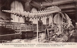 MONACO - Musée Océanographique - Museo Oceanografico