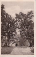 AK Leisnig - Schloßhof Mit Turm (Museum) - 1960 (14909) - Leisnig