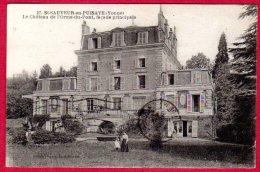 89 SAINT-SAUVEUR-en-PUISAYE - Le Chateau De L'Orme-du-Pont, Façade Principale - Saint Sauveur En Puisaye