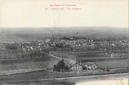 Grisolles (Tarn-et-Garonne) - Vue Générale - Phototypie Labouche Frères - Carte L.F. N°113 Non Circulée - Grisolles