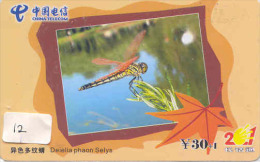 Dragonfly Libellule Libelle Libélula - Insect (12 - Altri & Non Classificati