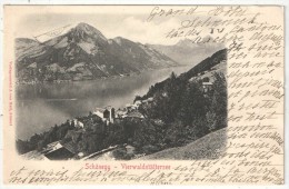 SCHÖNEGG - Vierwaldstättersee - 1902 - Sonstige & Ohne Zuordnung