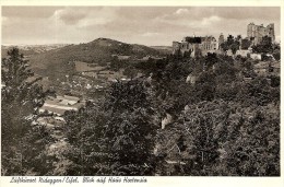 BURG NIDEGGEN-EIFEL-BLICK AUF HAUS HORTENSIA - Dueren