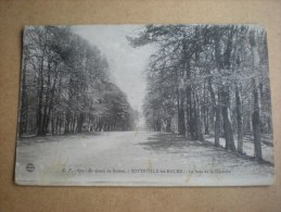 Sotteville-lès-Rouen, Le Bois De La Garenne  (A1) - Sotteville Les Rouen