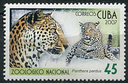 (cl 15 - P20) Cuba ** N° 4444 (ref. Michel Au Dos)  - Panthères - - Unused Stamps