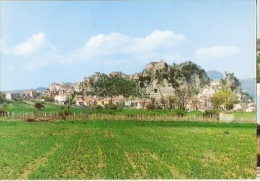 2322/A/FG/MF/15 - BAGNOLI DEL TRIGNO (ISERNIA) - Panorama - Isernia