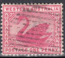 Western Australia 1890/93 - Swan - Mi 34 - Perf 14 - Used - Gebraucht