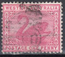 Western Australia 1898/1907 - Swan - Mi 44 - Perf 14 - Used - Gebraucht