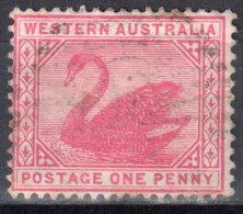 Western Australia 1898/1907 - Swan - Mi 44 - Perf 14 - Used - Used Stamps