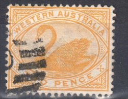 Western Australia 1898/1907 - Swan - Mi 45 - Perf 14 - Used - Gebraucht