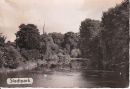 AK Foto Moers - Stadtpark - 1954 (14963) - Moers