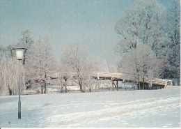 AK Bad Bevensen - Winter Im Kurpark (14996) - Bad Bevensen