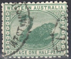 Western Australia 1905/1912 - Swan - Mi 61A - Perf 12½  - Used - Gebraucht