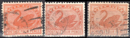 Western Australia 1905/1912 - Swan - 3 X Mi 65A - Perf 12½  - Used - Oblitérés