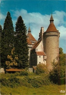 CPSM Chenerailles-Château D'Etansanne  L1899 - Chenerailles