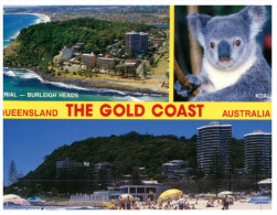 (219) Australia - QLD - Gold Coast And Koala - Gold Coast