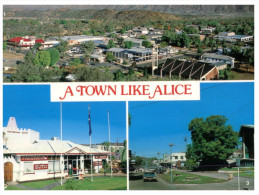 (219) Australia - NT - Alice Springs (with Living Together Stamp At Back Of Card) - Alice Springs