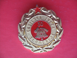 GASILSKA ZVEZA SLOVENIJE 30 - Pompiers