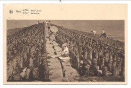 Delcampe - CPA - HEYST - HEIST - Brise-lames - Golfbreker   // - Heist