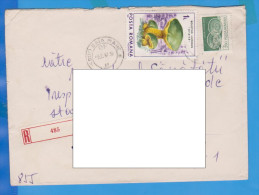 STAMPS ON  COVER, 1989, ROMANIA - Storia Postale