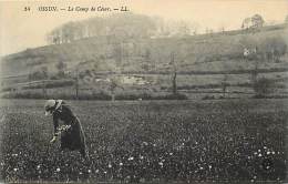 Hautes Pyrenees -ref A695- Ossun - Le Camp De Cesar - Carte Bon Etat  - - Ossun