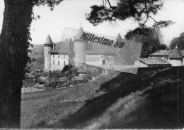 CPSM Virieu Sur Bourbre Le Vieux Chateau - Virieu