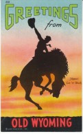 Wyoming State Symbol, Greetings From Wyoming C1930s Vintage Linen Postcard - Sonstige & Ohne Zuordnung