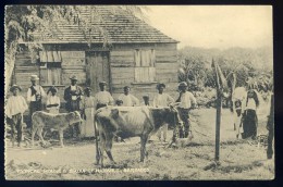 Cpa Typical House & Group Of Natives  ,  Barbados , Barbades      AG15 19 - Barbades