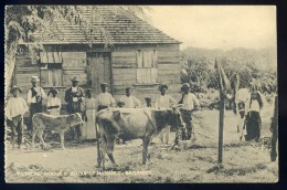 Cpa Typical House & Group Of Natives  ,  Barbados , Barbades      AG15 19 - Barbados (Barbuda)