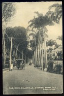 Cpa Pine Road , Belloville , Showing Tram Gar  Barbados , Barbades      AG15 19 - Barbades