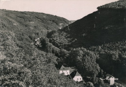 WASSELONNE - Vue Sur La Vallée Du Kronthal (1953) - Wasselonne