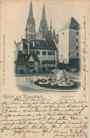 ALLEMAGNE - Gruss Aus REGENSBURG - Moltkeplatz (1900) - Regensburg