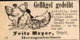 Original Werbung - 1911 - Geflügel , Fritz Meyer In Herzogenbuchsee !!! - Herzogenbuchsee