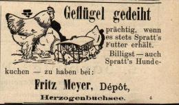 Original Werbung - 1911 - Geflügel , Fritz Meyer In Herzogenbuchsee !!! - Herzogenbuchsee