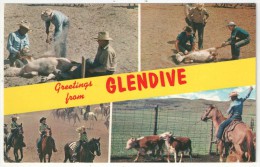 Greetings From GLENDIVE, Montana - Autres & Non Classés