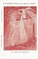 Illustration Jean Metteix - Souvenez-vous D'un Beau Lapin - Comète Halley 1910 - Carte Non Circulée - Metteix